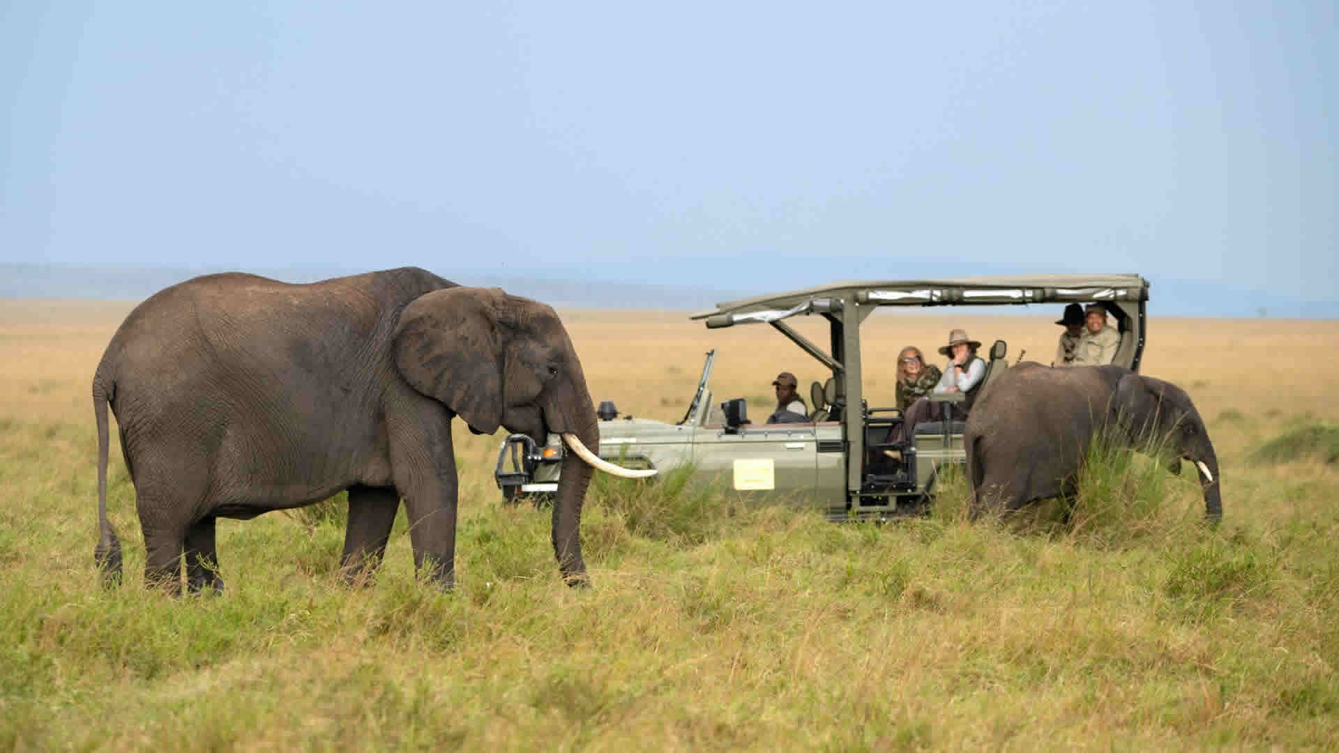stay at paradise plains